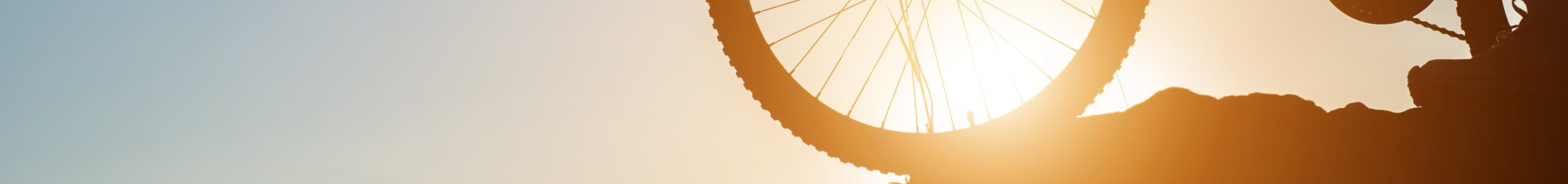 Silhouette of a man on mountain-bike during sunset.